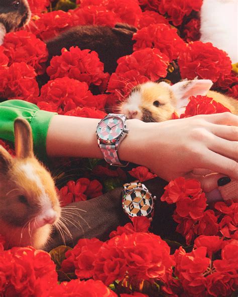 gucci rabit|year of the rabbit collection.